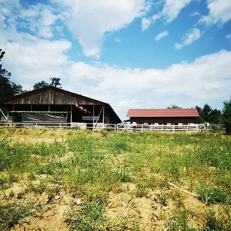 Cosy In The Nature * غراتس