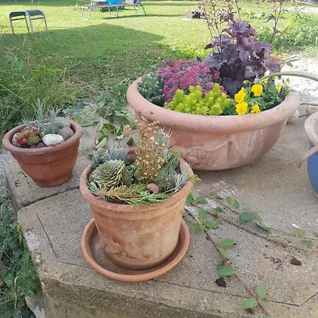 Appartamento Cosy In The Nature